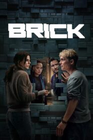 Brick (2025) Hindi Dubbed Netflix