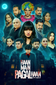 Haan Main Pagal Haan (2025) Hindi HD