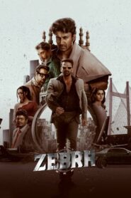 Zebra (2024) Hindi Dubbed AMZN