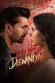 Ek Deewane Ki Deewaniyat (2025) Hindi HDTC